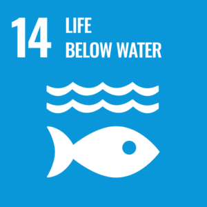 Sustainable goal no 14 by United Nations, life below water