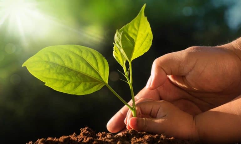 World soil day